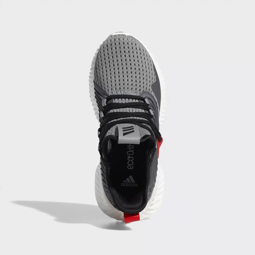 Adidas Alphabounce Instinct Tenis Para Correr Grises Para Niño (MX-29310)